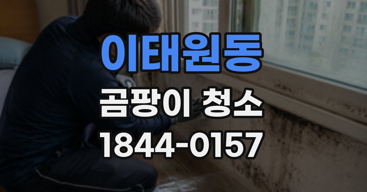 이태원동 곰팡이 청소