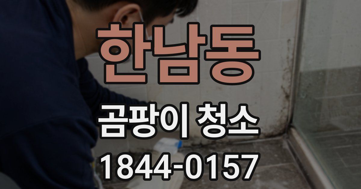 한남동 곰팡이 청소