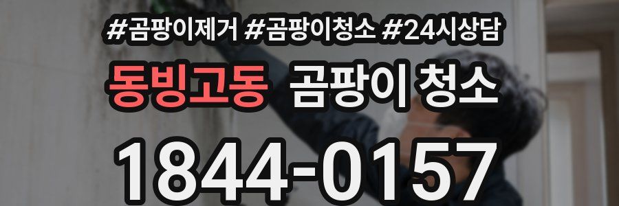 동빙고동 곰팡이 청소