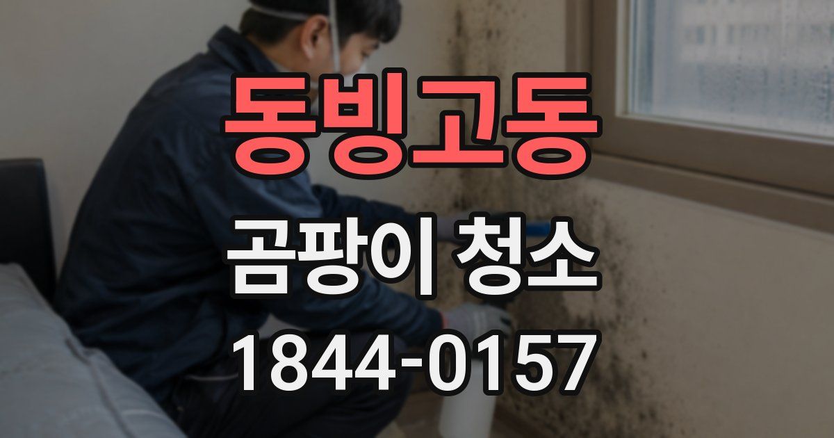 동빙고동 곰팡이 청소