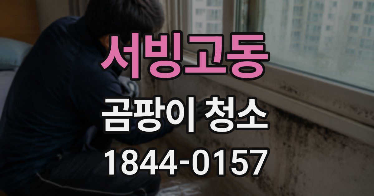 서빙고동 곰팡이 청소