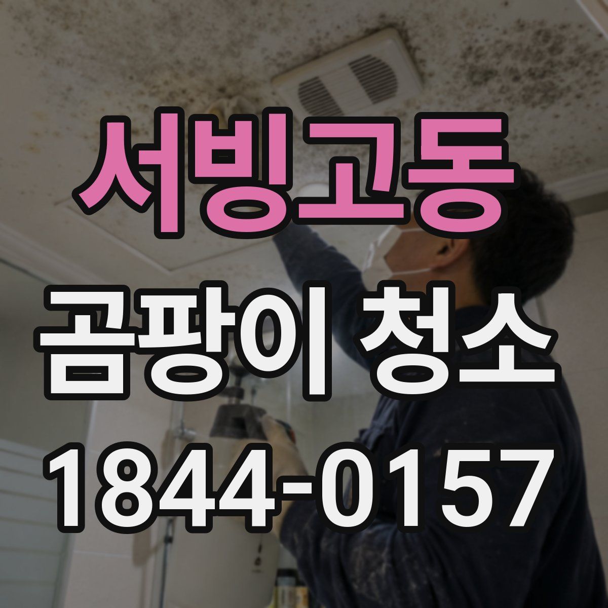 서빙고동 곰팡이 청소