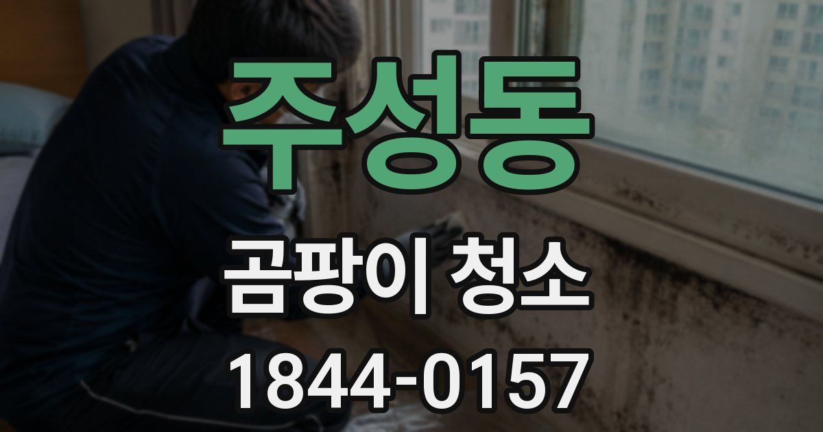 주성동 곰팡이 청소