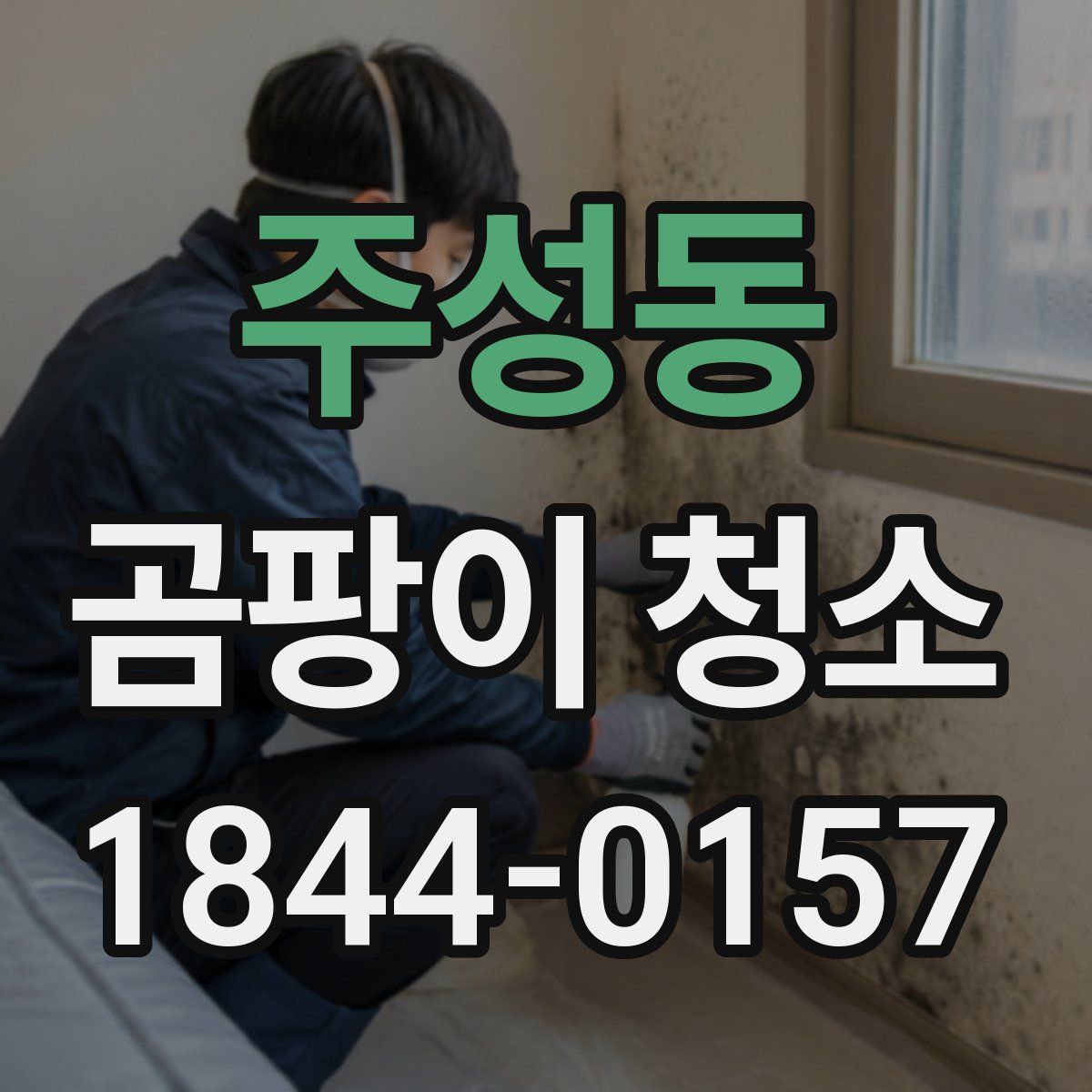 주성동 곰팡이 청소