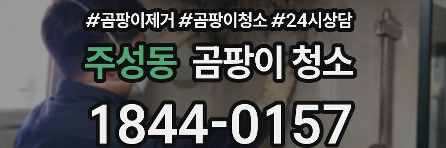 주성동 곰팡이 청소