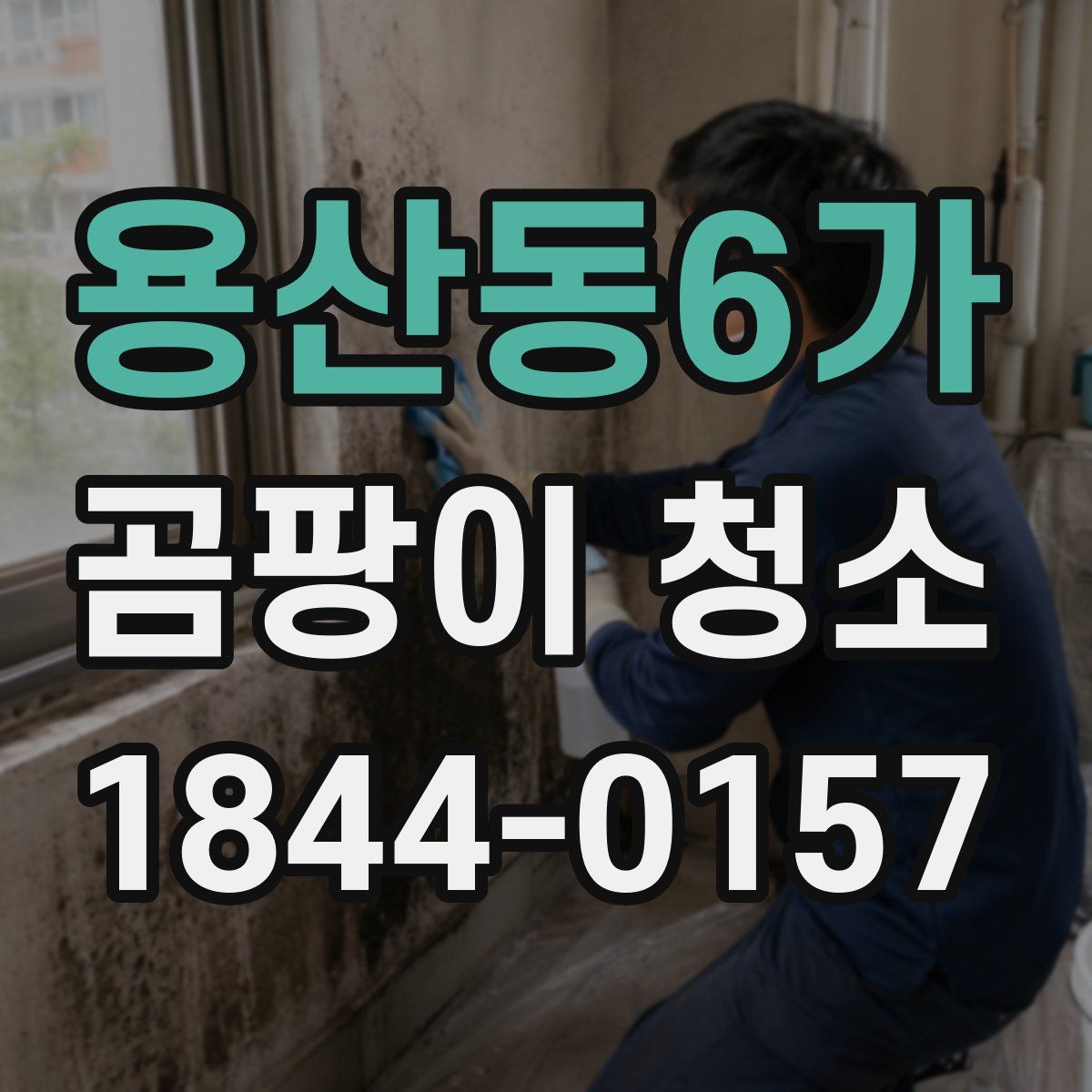 용산동6가 곰팡이 청소