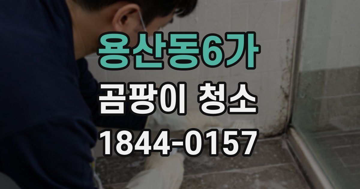 용산동6가 곰팡이 청소