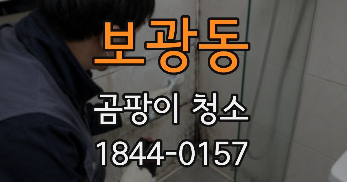 보광동 곰팡이 청소