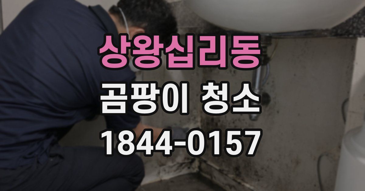 상왕십리동 곰팡이 청소
