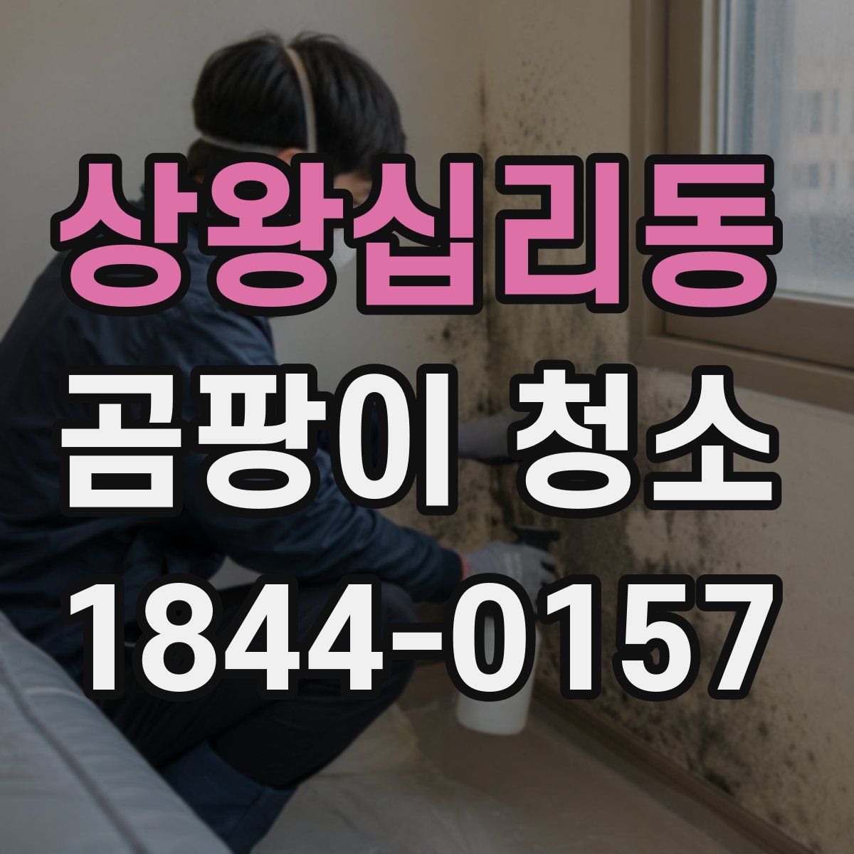 상왕십리동 곰팡이 청소