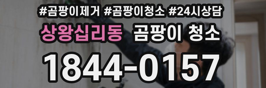 상왕십리동 곰팡이 청소