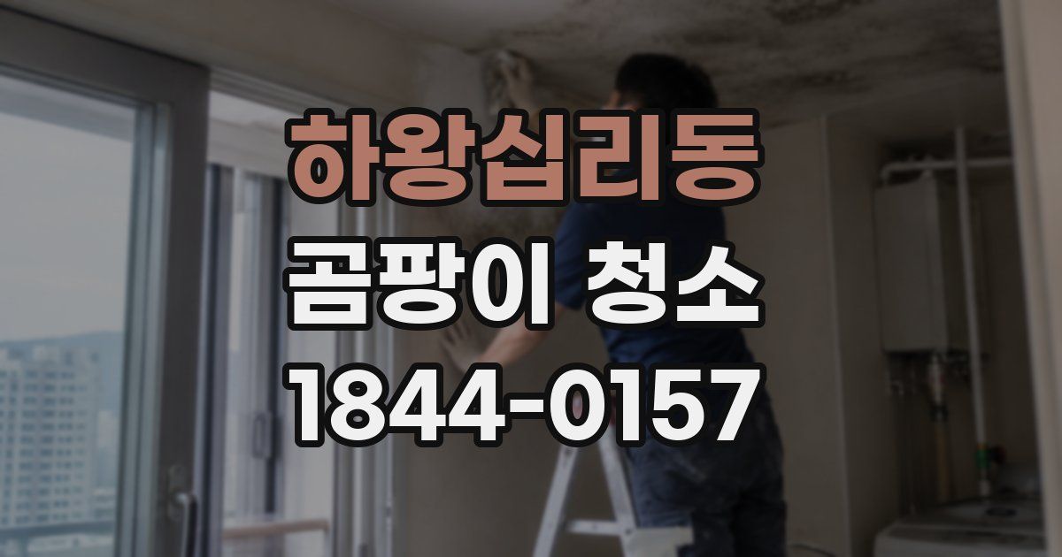 하왕십리동 곰팡이 청소