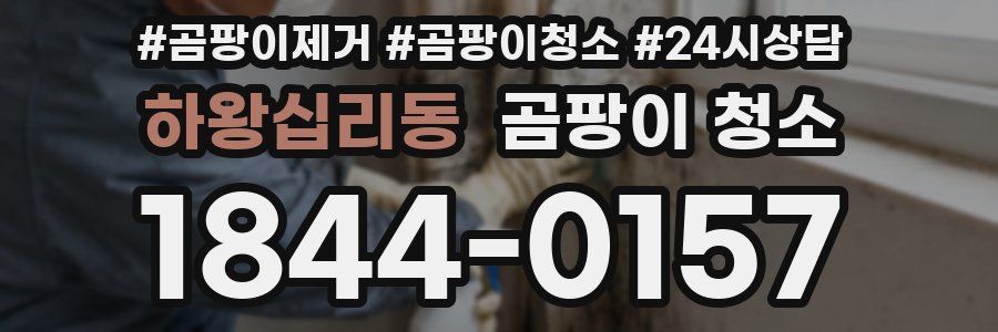 하왕십리동 곰팡이 청소