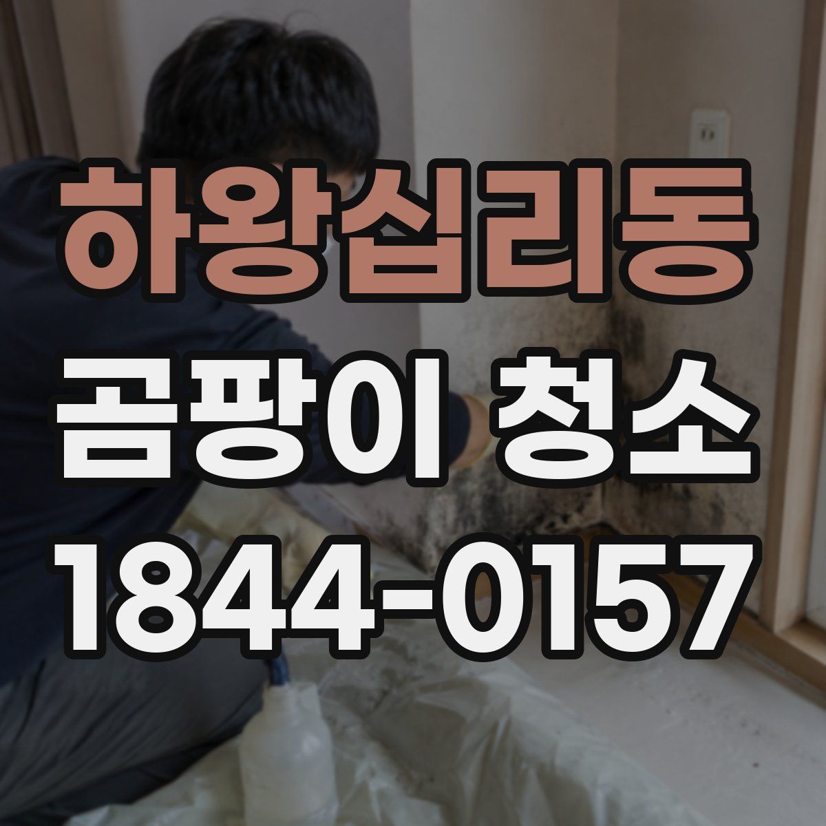 하왕십리동 곰팡이 청소