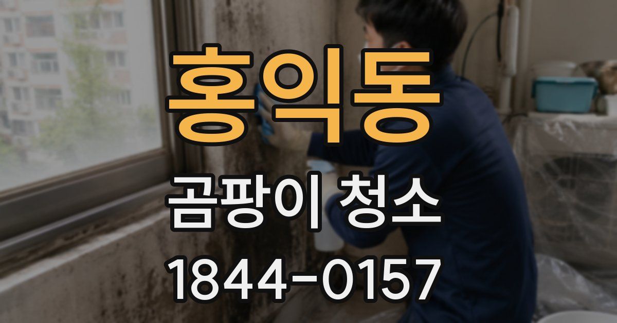 홍익동 곰팡이 청소