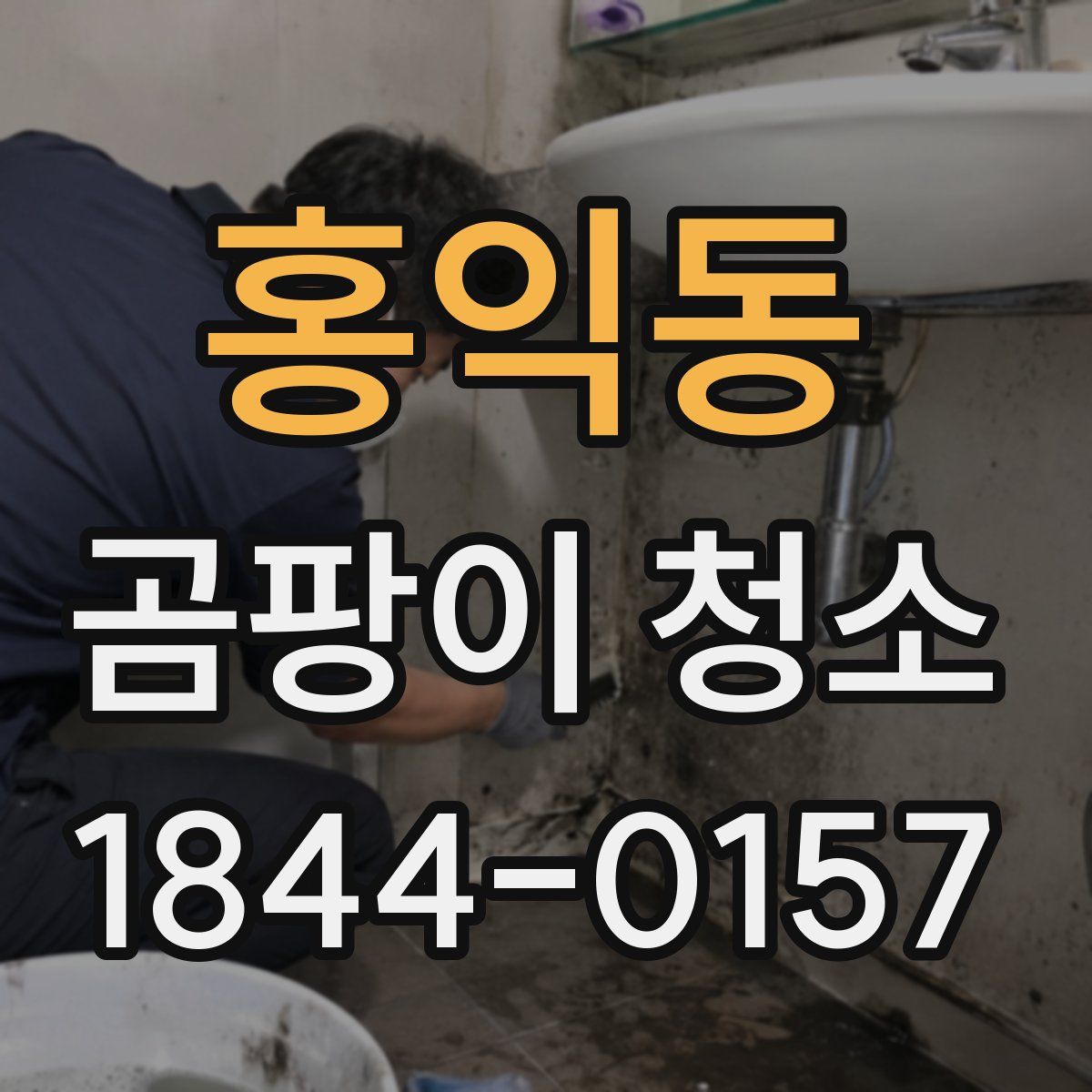 홍익동 곰팡이 청소