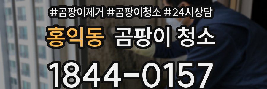 홍익동 곰팡이 청소