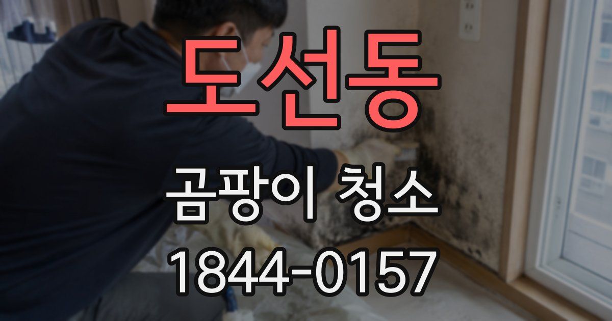 도선동 곰팡이 청소