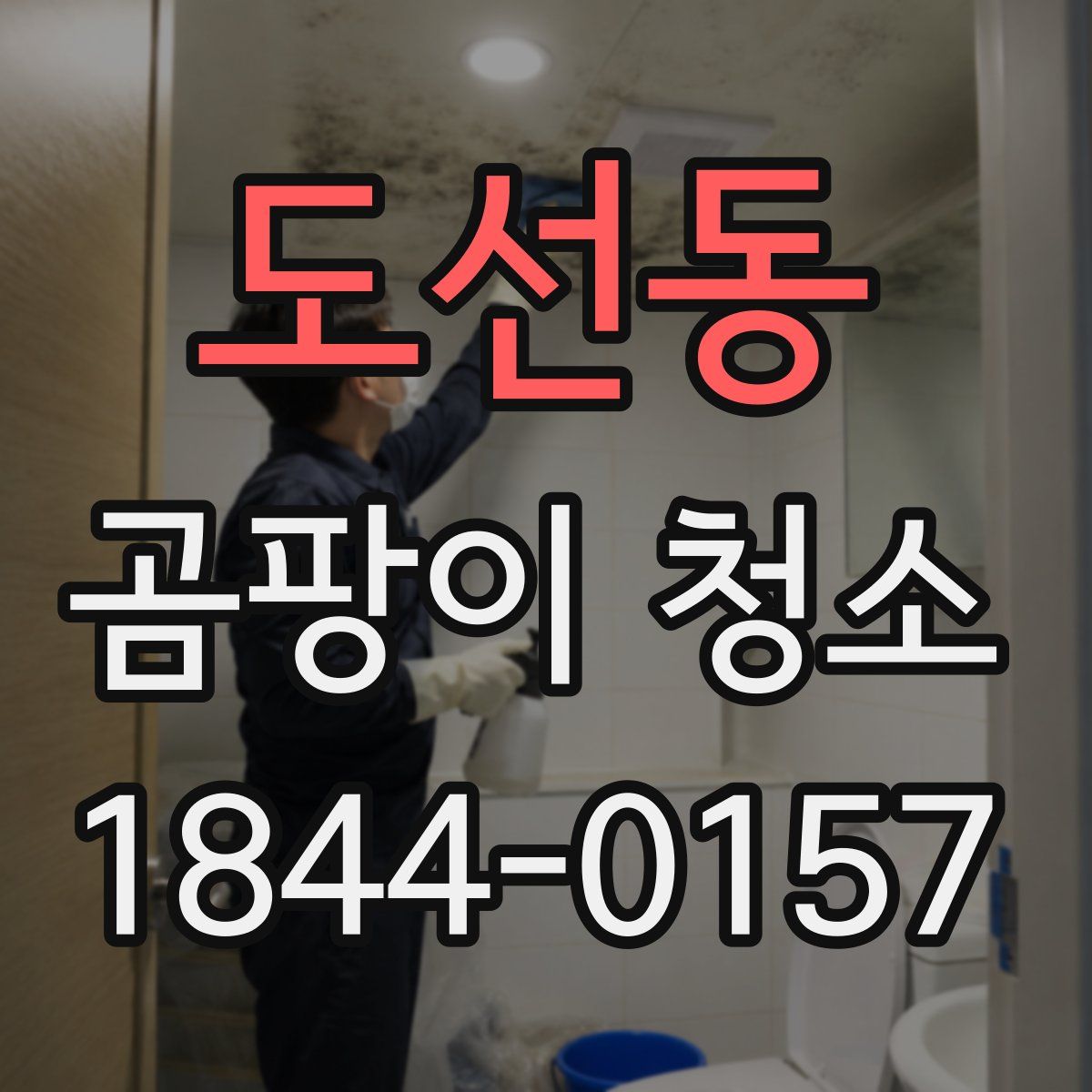 도선동 곰팡이 청소