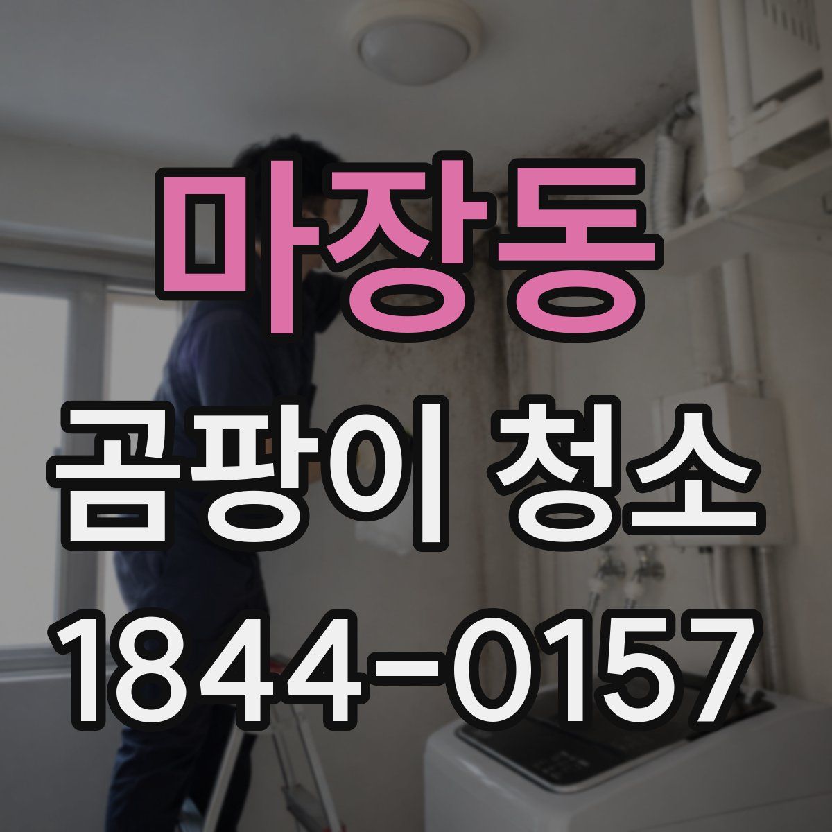 마장동 곰팡이 청소