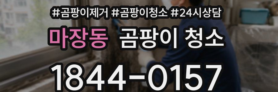 마장동 곰팡이 청소