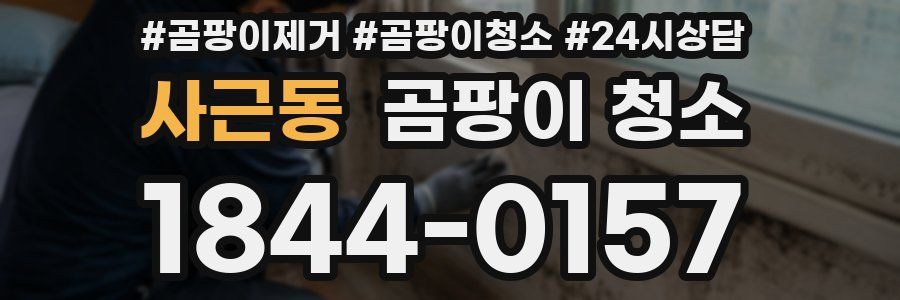 사근동 곰팡이 청소