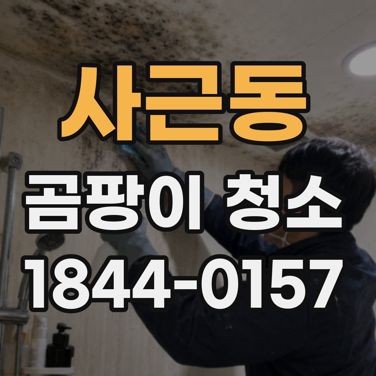 사근동 곰팡이 청소