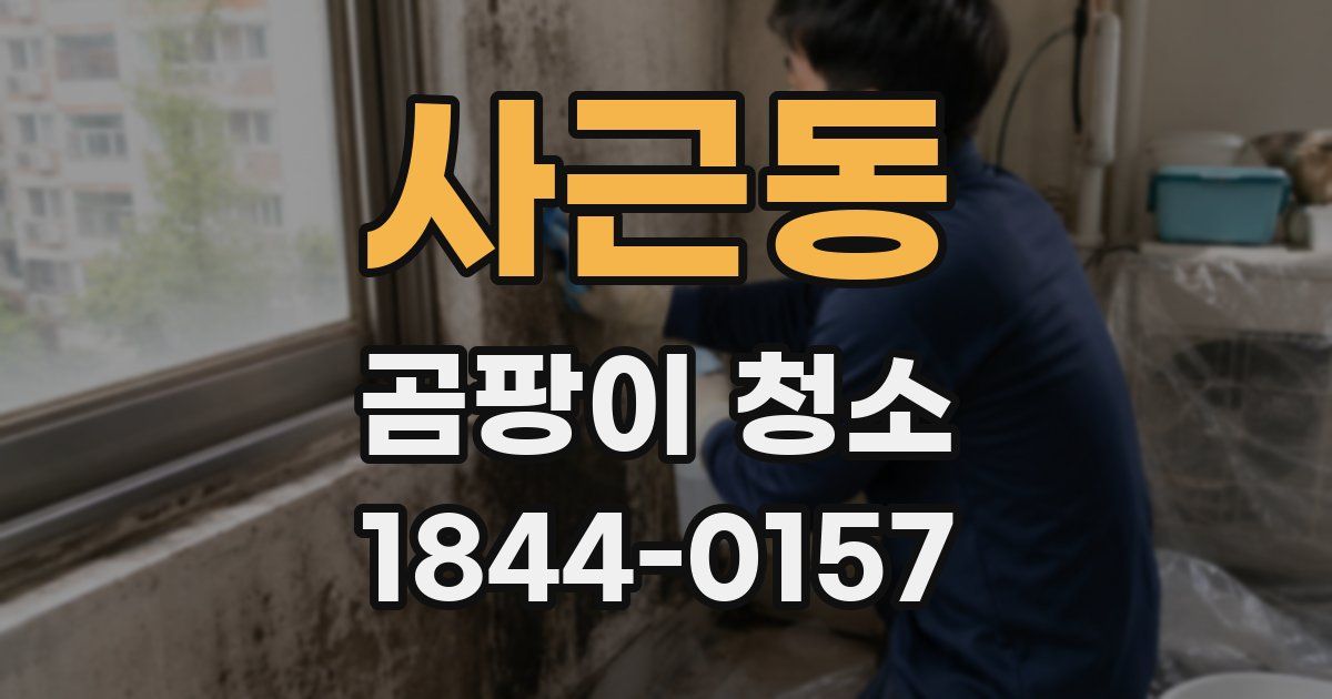 사근동 곰팡이 청소