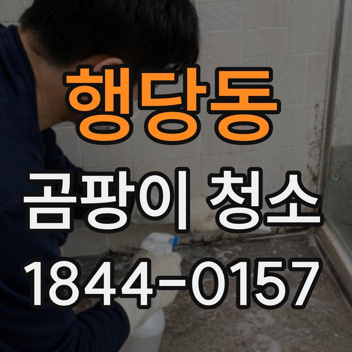 행당동 곰팡이 청소
