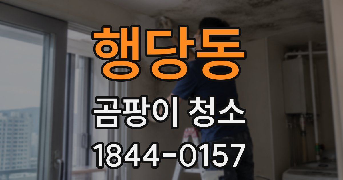 행당동 곰팡이 청소