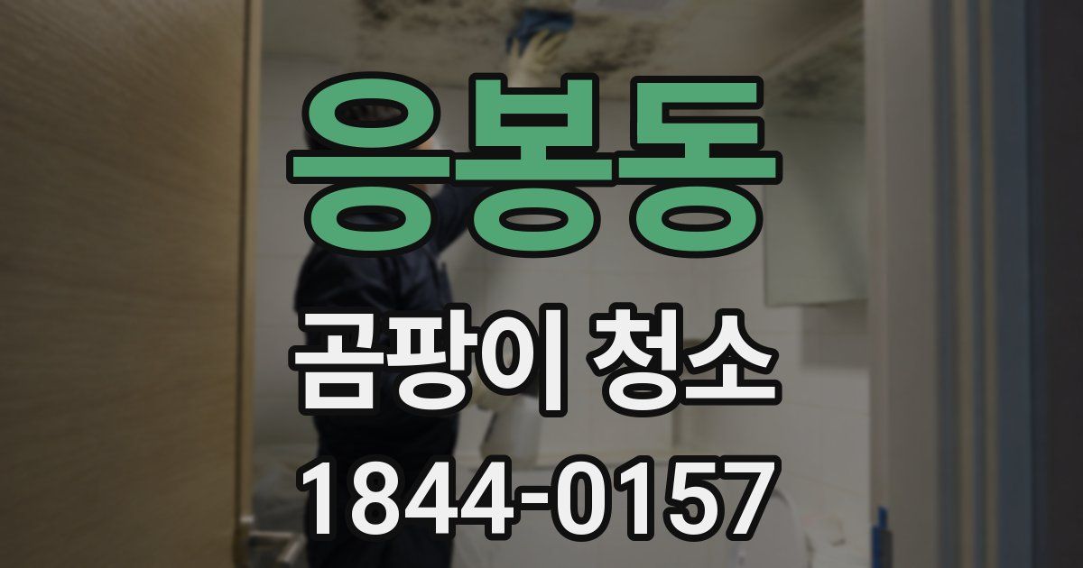 응봉동 곰팡이 청소