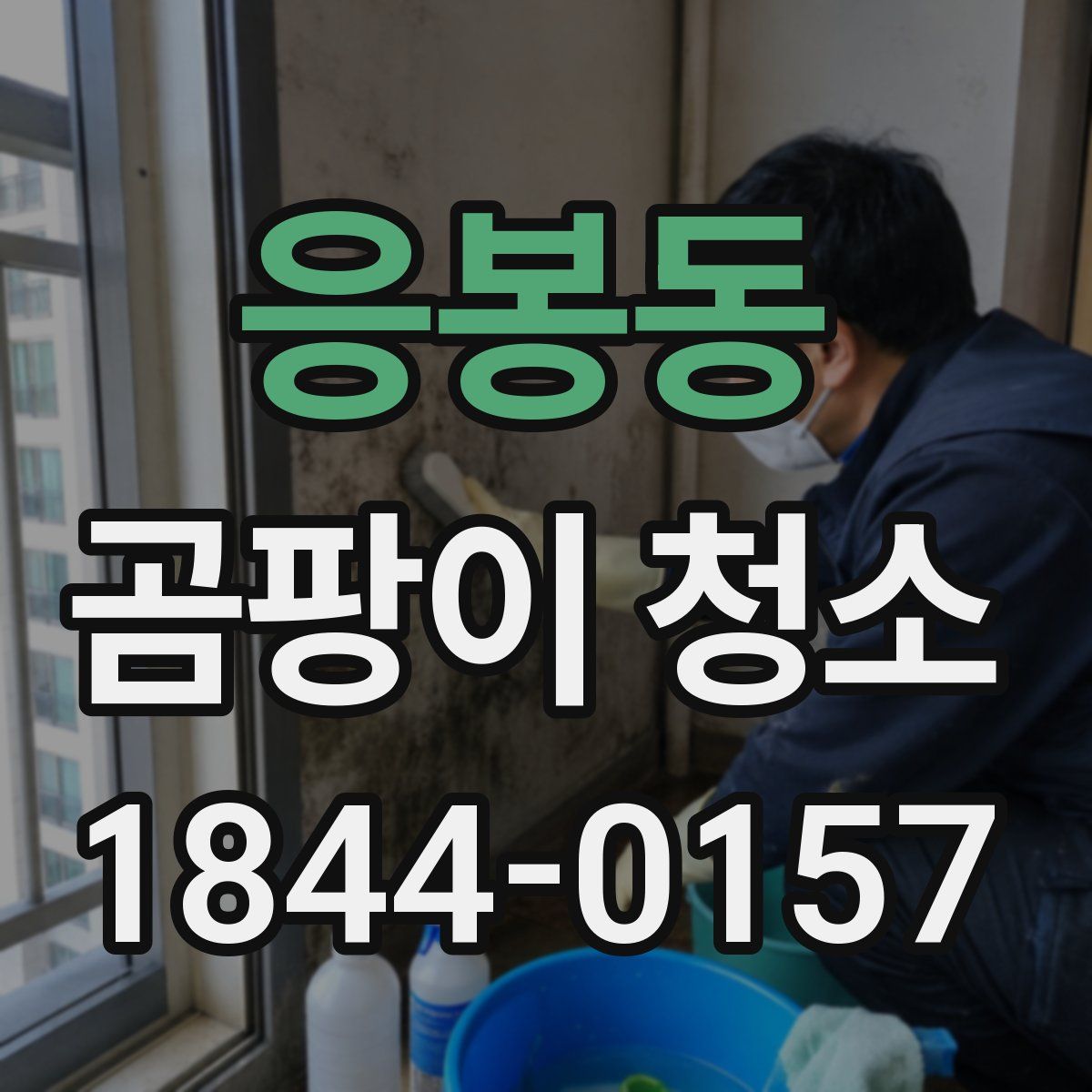 응봉동 곰팡이 청소
