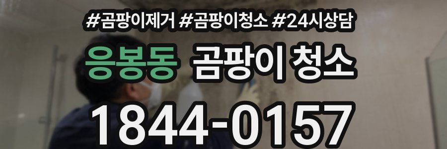 응봉동 곰팡이 청소