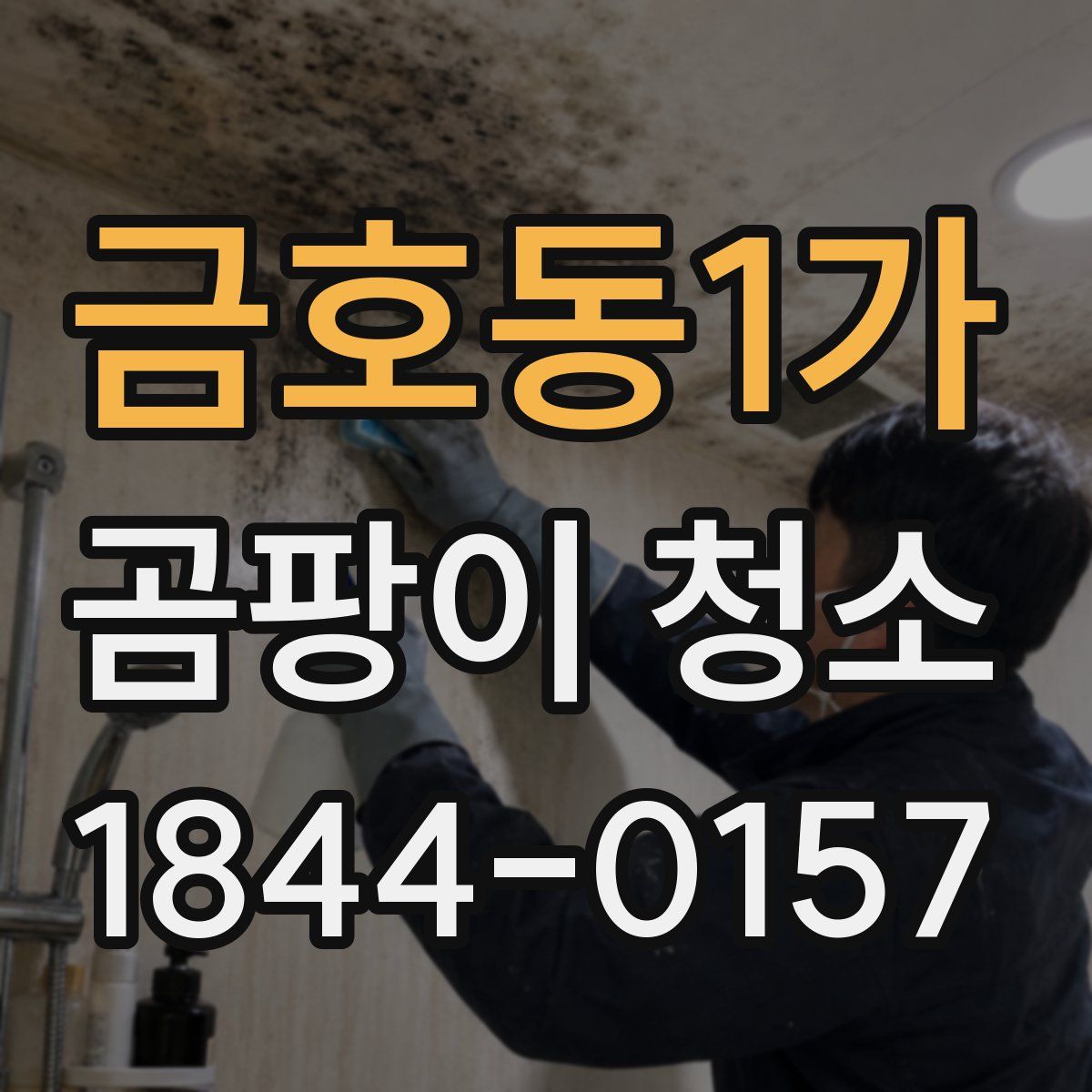 금호동1가 곰팡이 청소