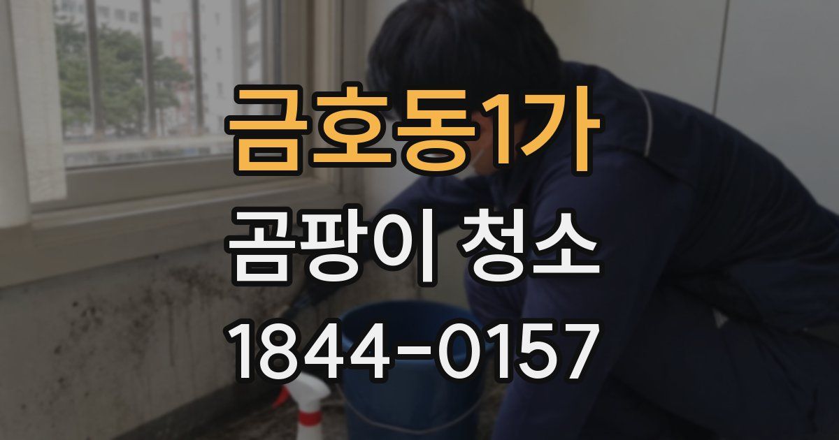 금호동1가 곰팡이 청소