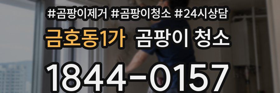 금호동1가 곰팡이 청소