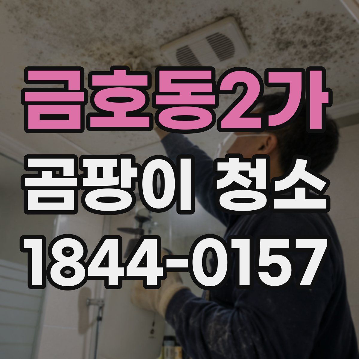 금호동2가 곰팡이 청소