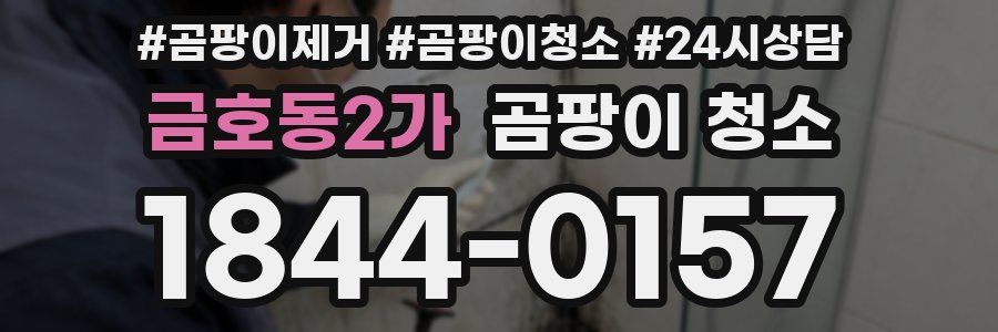 금호동2가 곰팡이 청소
