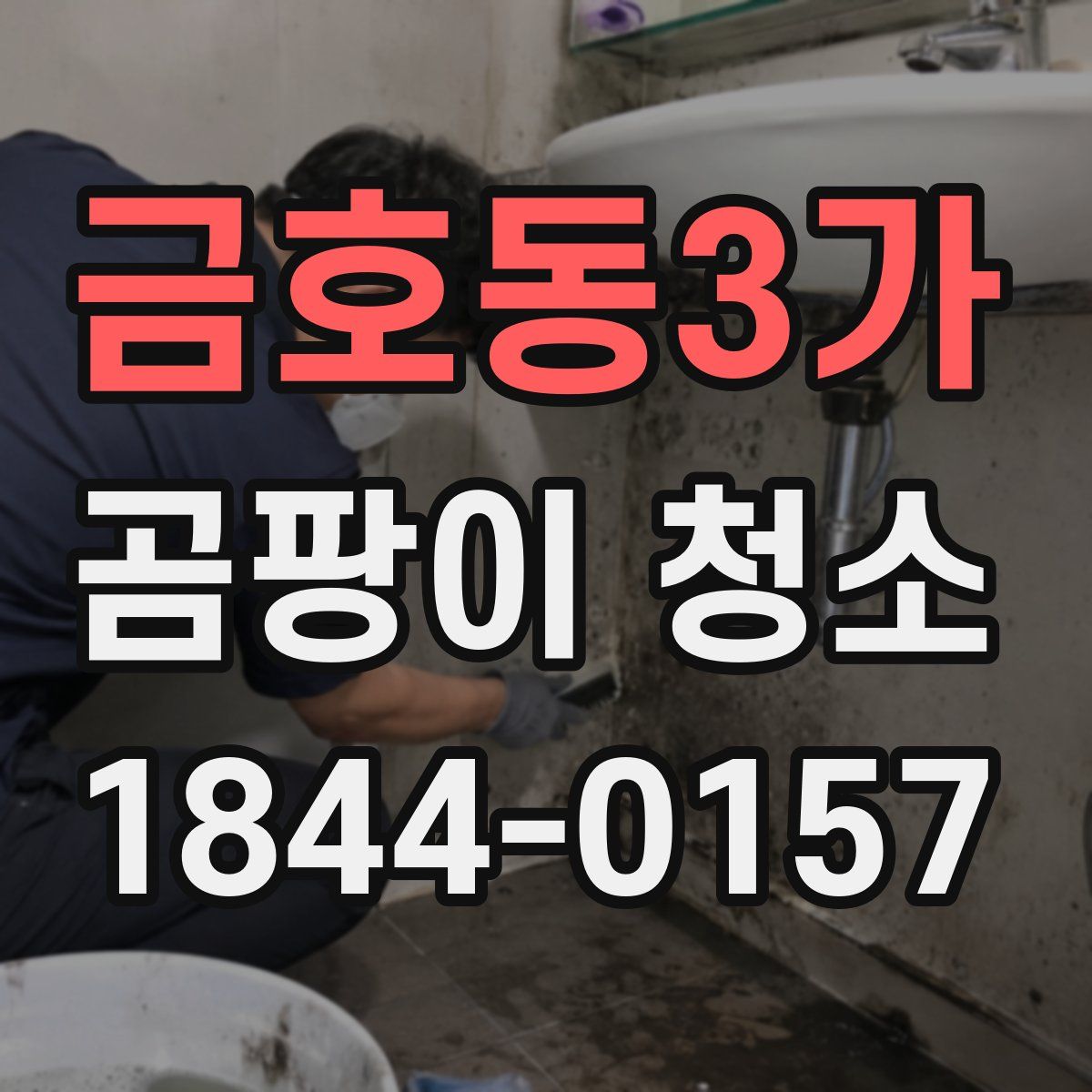 금호동3가 곰팡이 청소