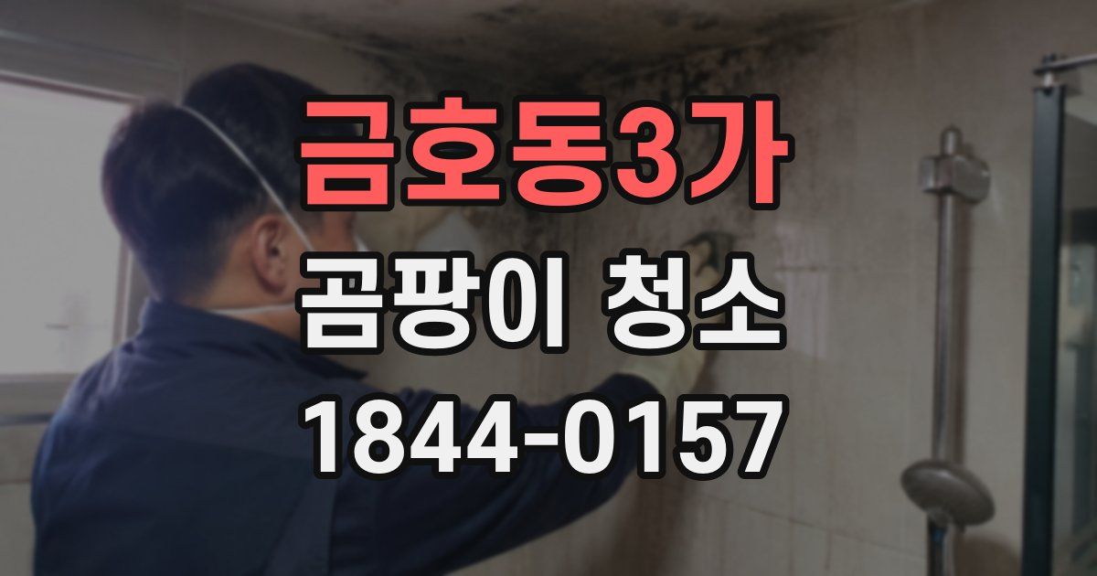 금호동3가 곰팡이 청소