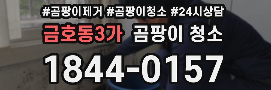 금호동3가 곰팡이 청소