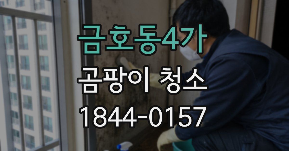 금호동4가 곰팡이 청소