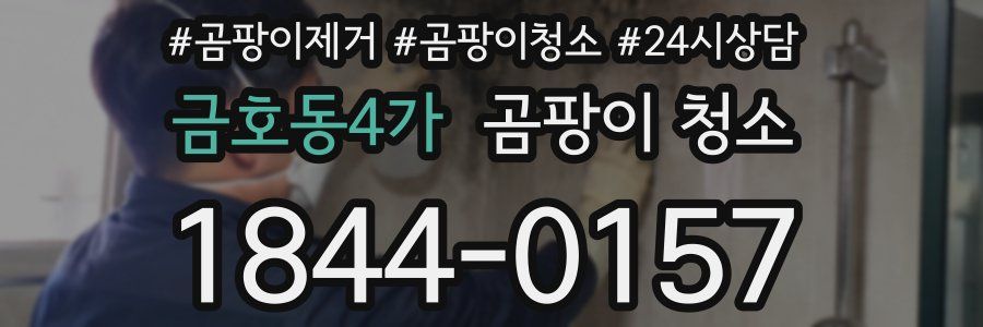 금호동4가 곰팡이 청소