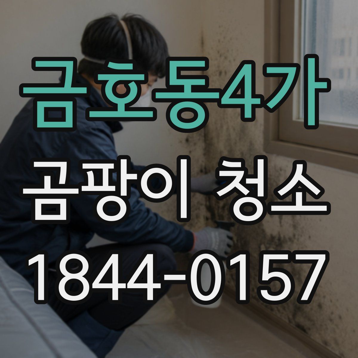 금호동4가 곰팡이 청소