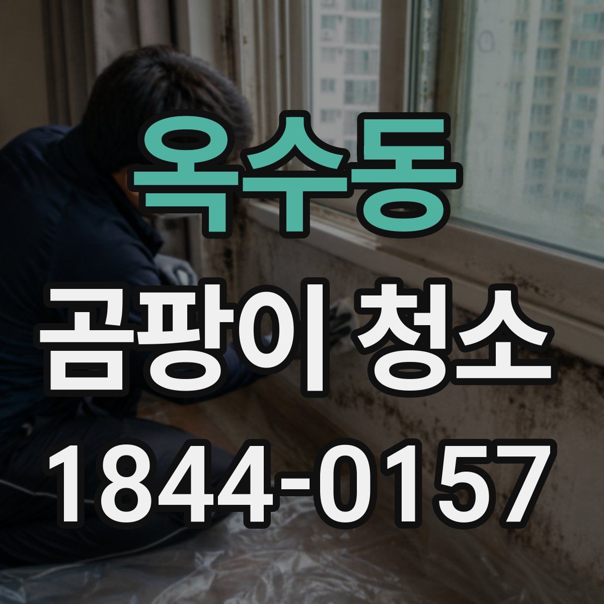 옥수동 곰팡이 청소