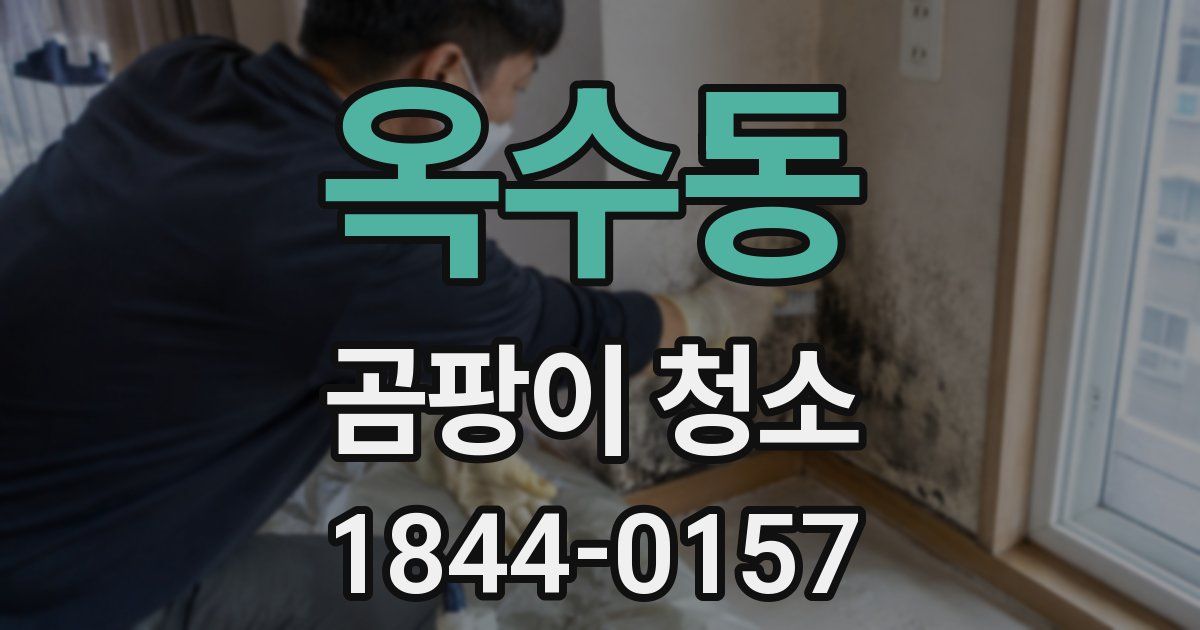 옥수동 곰팡이 청소