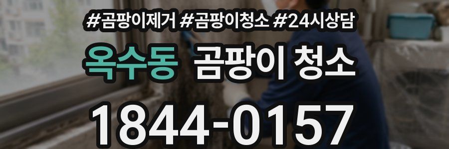 옥수동 곰팡이 청소