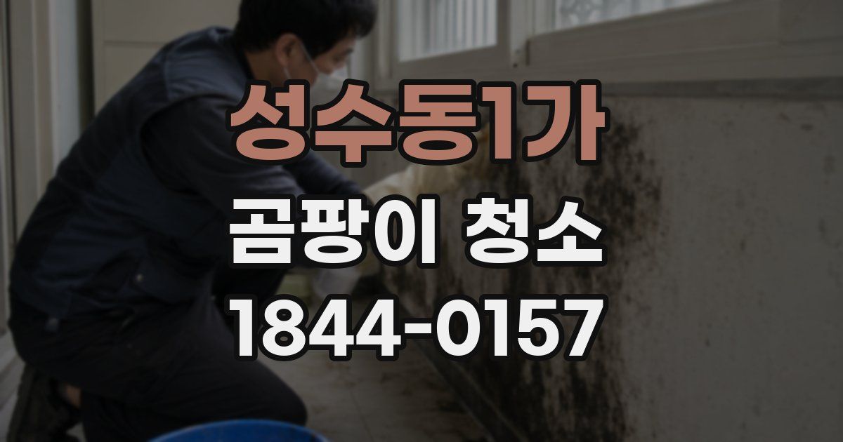 성수동1가 곰팡이 청소