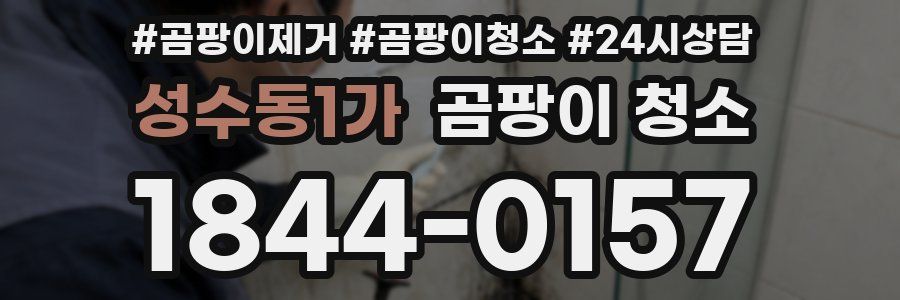 성수동1가 곰팡이 청소