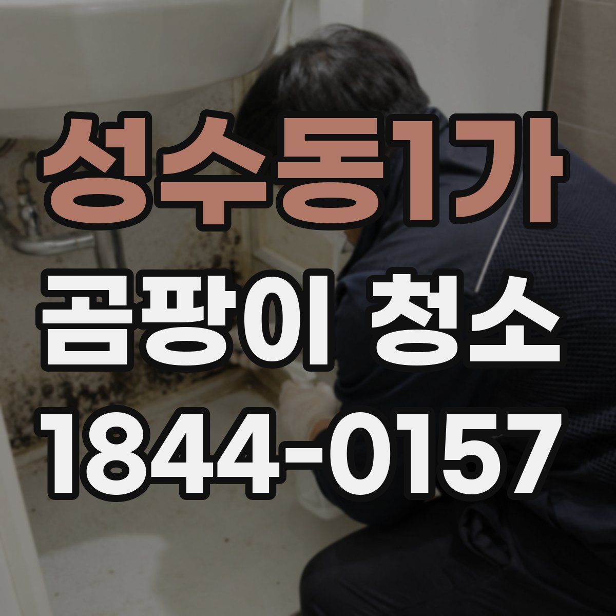성수동1가 곰팡이 청소